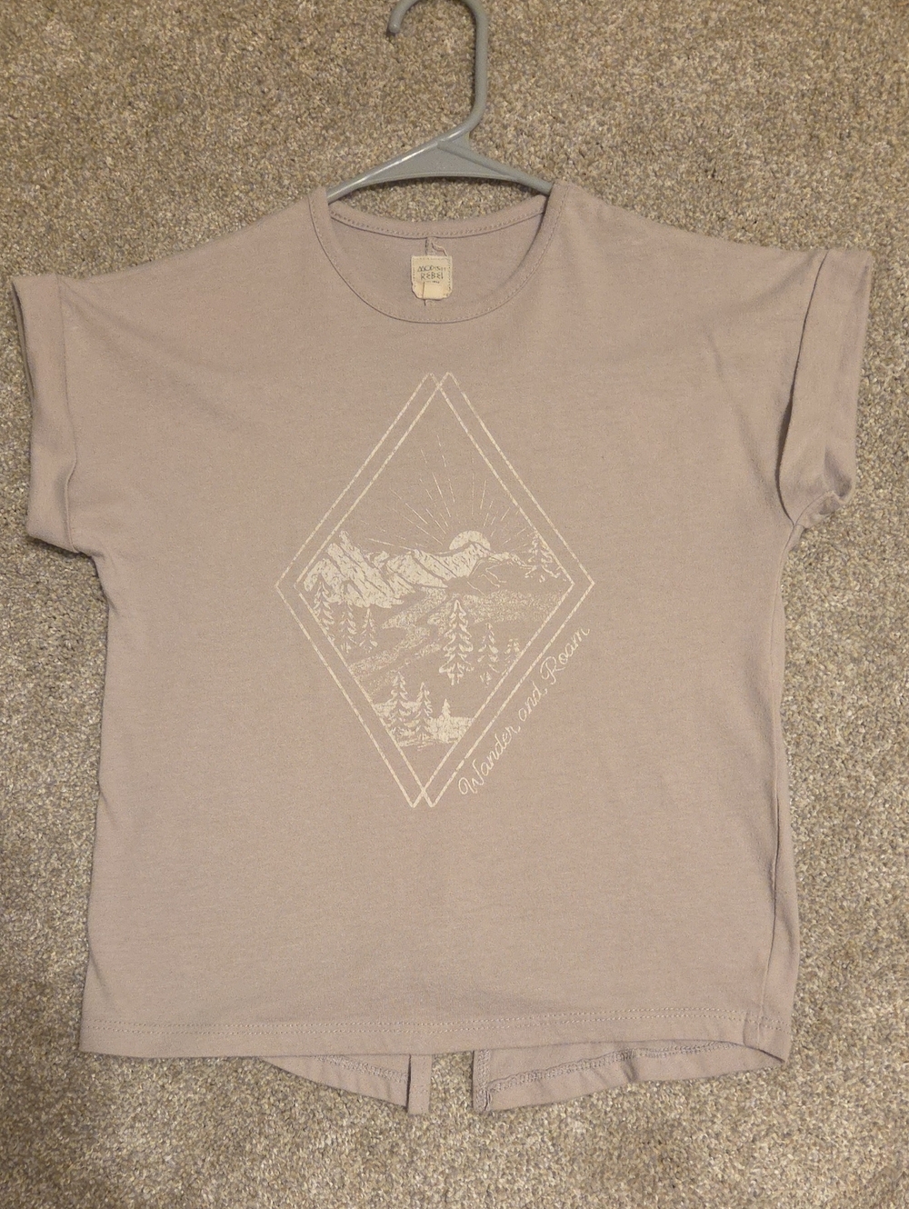 Wander & Roam Youth Short Sleeve Tee - Taupe Mountain Graphic